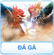 đá gà minzhengjie.top